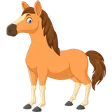 Un caballo